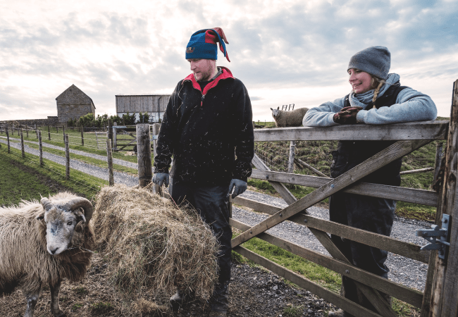 nev-kate-and-sheep