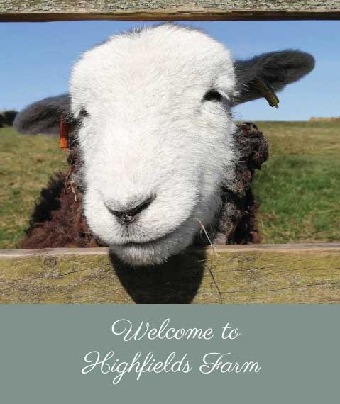 herdwicks-welcome-droopsy